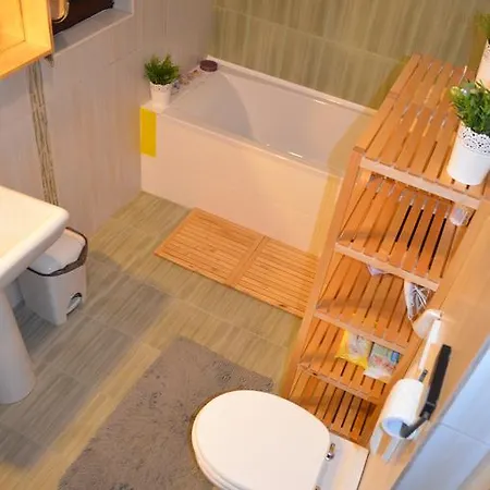 Будинок відпочинку Forest Chalet Брашов