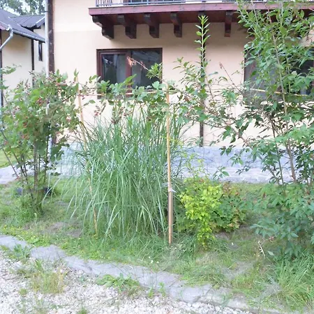 Будинок відпочинку Forest Chalet *