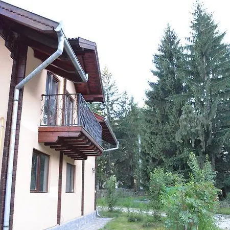 Forest Chalet Брашов