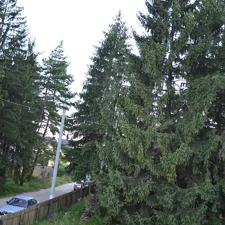 Forest Chalet *