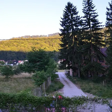 Forest Chalet