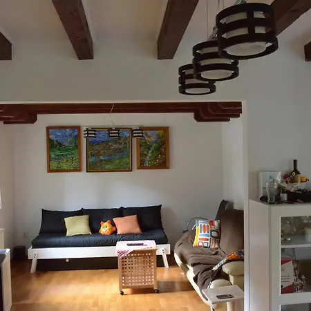 Forest Chalet Брашов