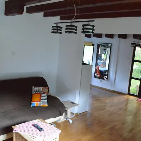 Forest Chalet Будинок відпочинку Брашов