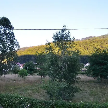 Будинок відпочинку Forest Chalet Брашов