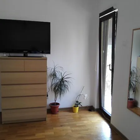 Forest Chalet Будинок відпочинку Брашов